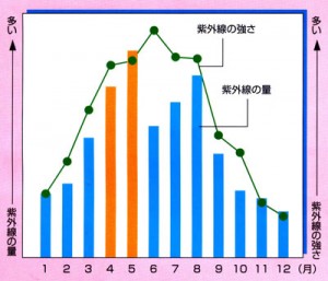 紫外線って５月がピークに多いんです