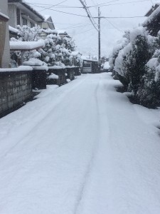 十数年ぶりのような・・・