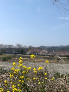 カフェでまったり