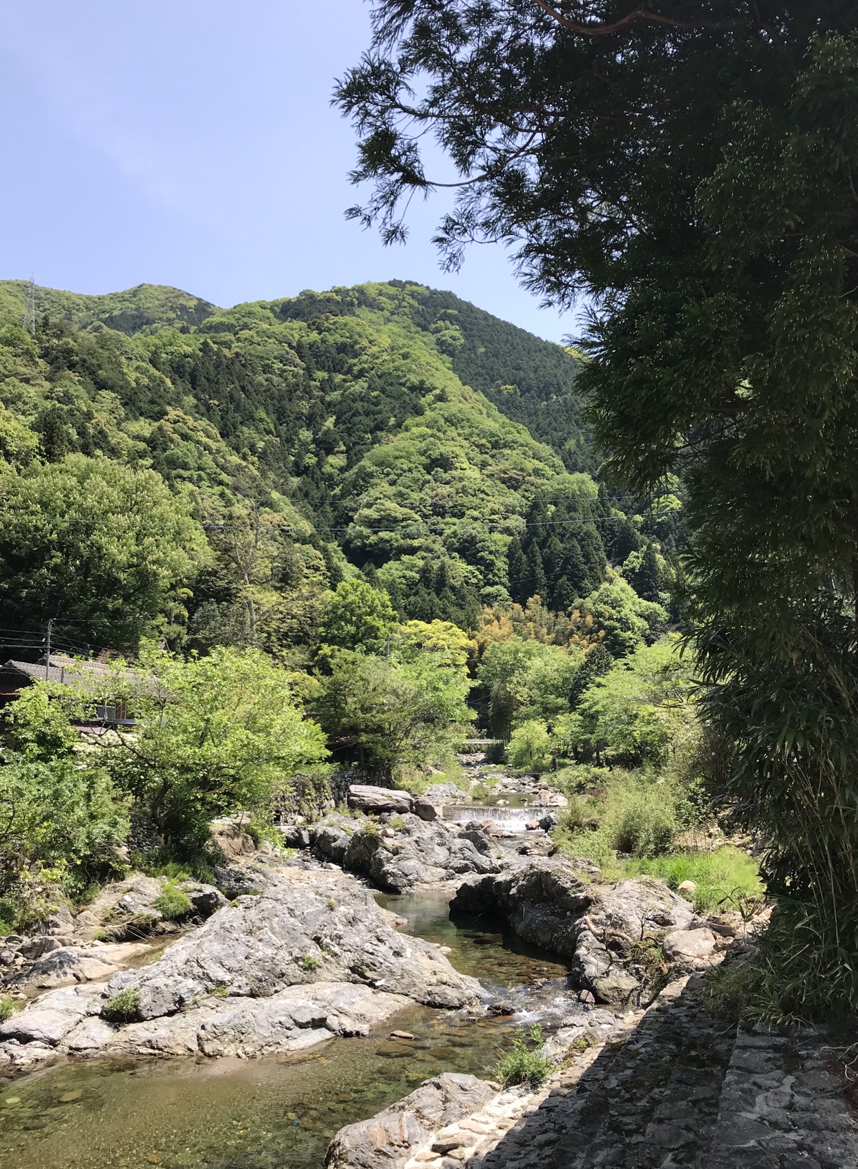 これからの時期に、、、