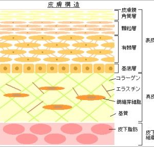 スキンケアで大切なことは・・・？