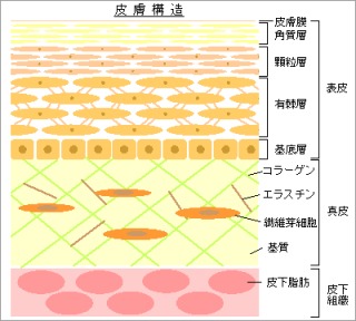 スキンケアで大切なことは・・・？