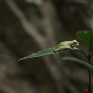 一年を振り返ってみて。