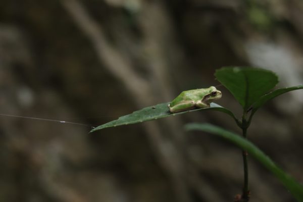 一年を振り返ってみて。