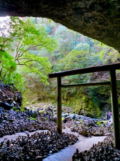 日帰り旅行☆